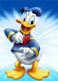 /album/el-pato-donald/donald-duck-donald-duck-6617289-1024-768-jpg/